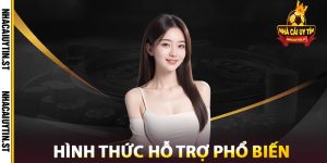 Hình Thức Hỗ Trợ Phổ Biến