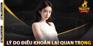 Lý do điều khoản lại quan trọng