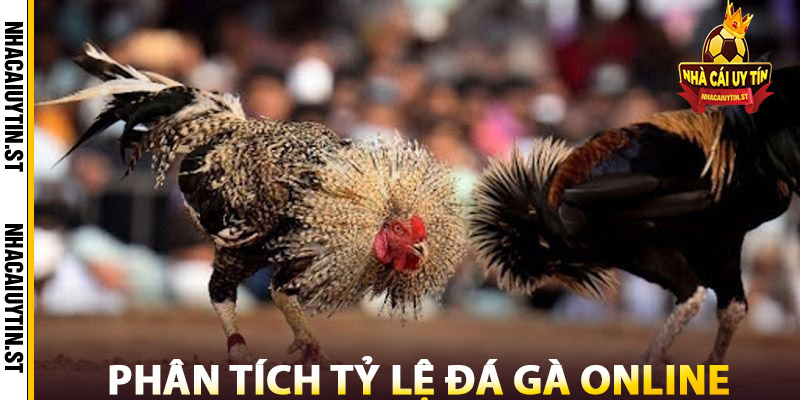 Đá Gà Online – Top Sàn Đá Gà Online Uy Tín, Tốc Độ Sắc Nét 3 Phân Tích Tỷ Lệ Đá Gà Online